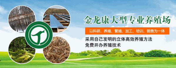 利民金头蜈蚣养殖